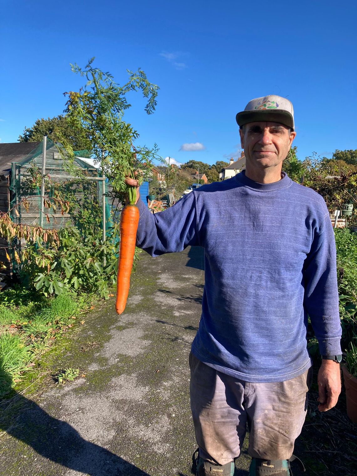 Big carrot