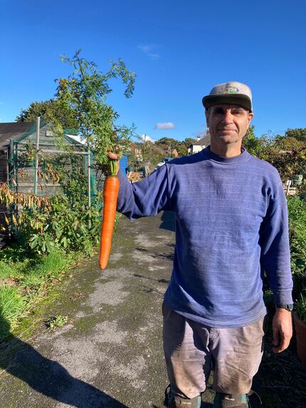 Big carrot