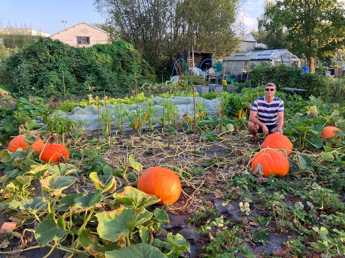 Big pumpkins