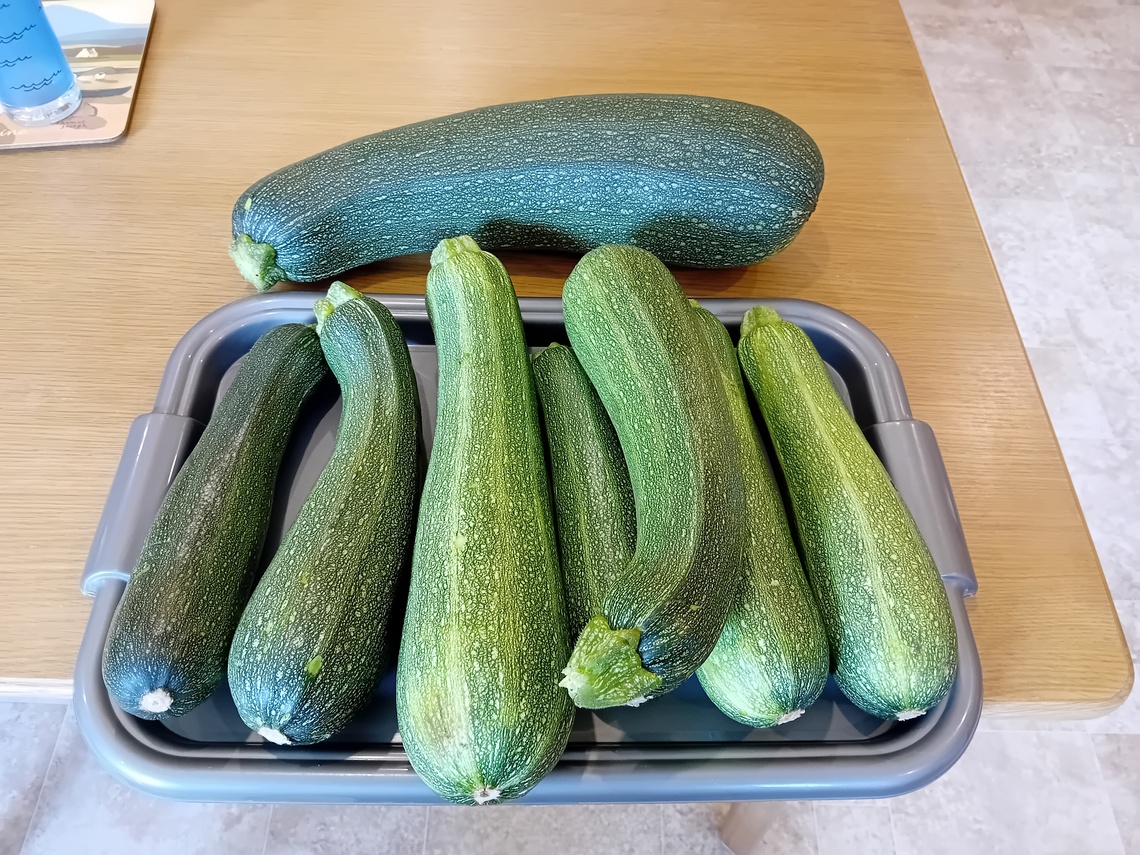 Courgettes